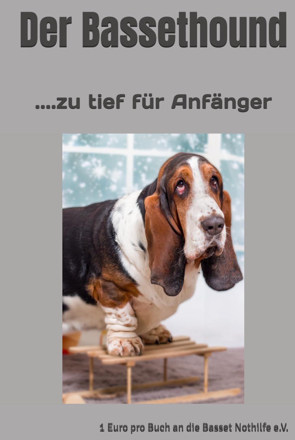 Der Bassethound: ....zu tief für Anfänger