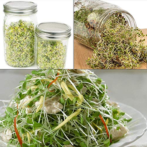 Integrity.1 Set Coperchio per Germogli, 4 Pezzi