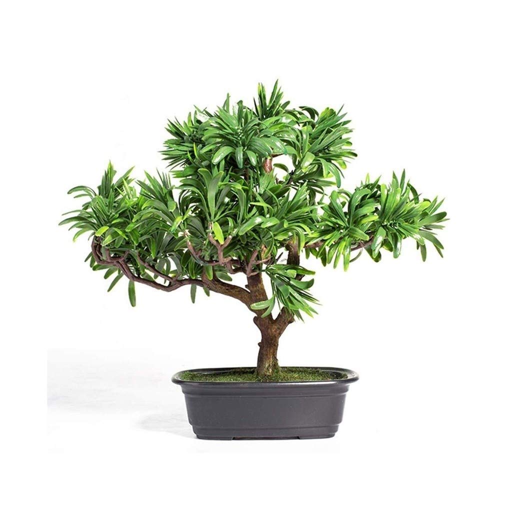 Amazon｜Zyj stores 人工マキの木盆栽ツリーの偽の鉢植え屋内エバー