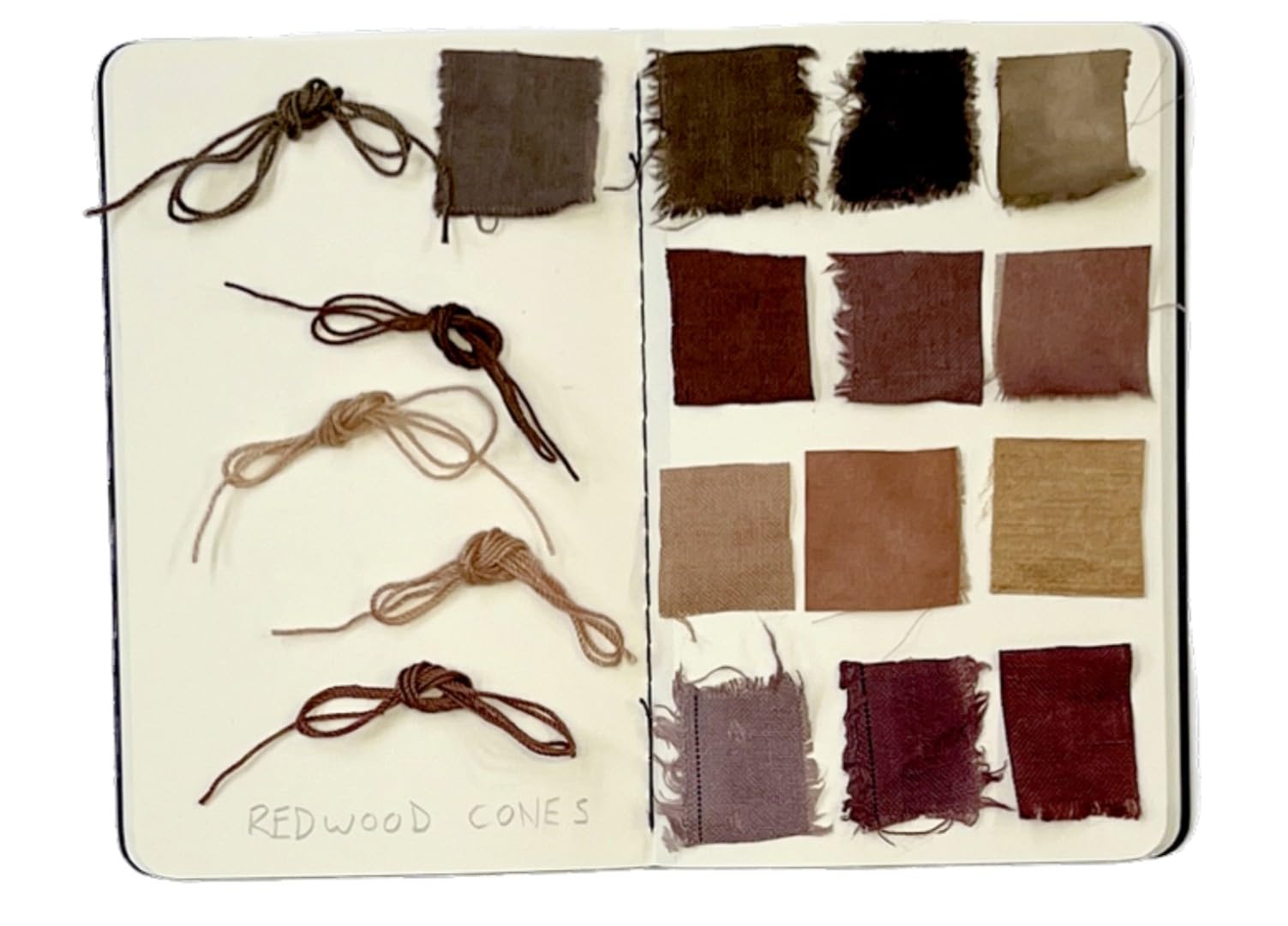The Natural Dye Handbook: A comprehensive guide to dyeing with plants for beginners and beyond