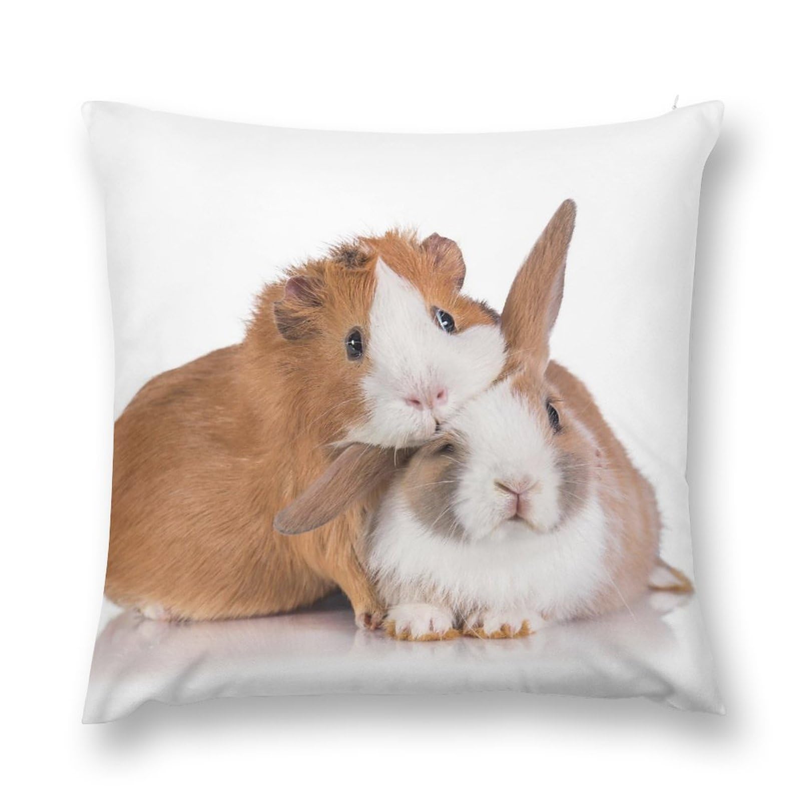 ORENZ Plush Pillow Case Rabbit And Guinea Pig Throw Pillow Case Pillowcases Cushion Covers For Sofa Couch Bed Decor 18 "x18