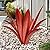 TOMBABY Enlarge Thickened Wind Resistant Metal Agave Garden Art Metal Plant Country Garden Sculpture Statue Outdoor Decoration Agave Metal Plant Courtyard Garden Lawn Ornament Gift (2, 12 Leaves red)