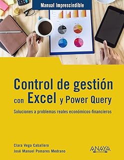 Control de gestión con Excel y Power Query: Soluciones a problemas reales económicos-financieros (MANUALES IMPRESCINDIBL...