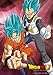 Dragon Ball 100-piece Jigsaw Puzzle Super Goku & Vegeta - Super Saiyan God SS Large Piece (18.2x25.7cm)