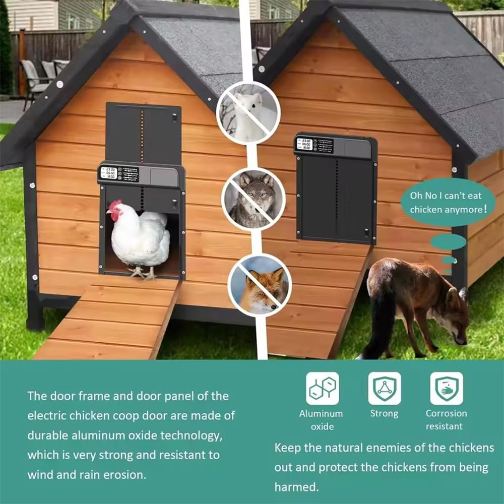 NEWFUN Puerta Gallinero Automatica, Aleación de Aluminio, Gallinero Automático con Pantalla Grande Resistente al Agua, Temporizador, Protección Inteligente contra Atrapamientos