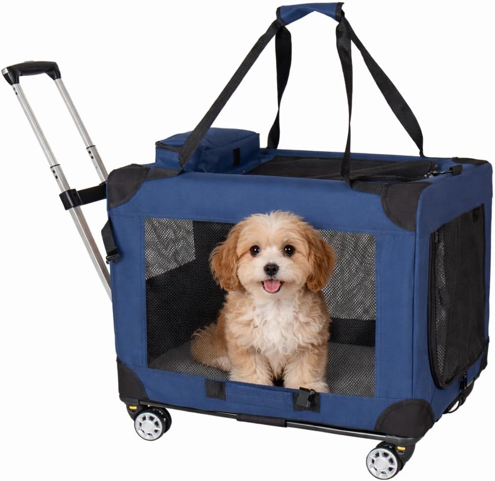 Amazon.com : 24 Inch Soft Dog Crate, 2 in 1 Collapsible Dog Crate with ...