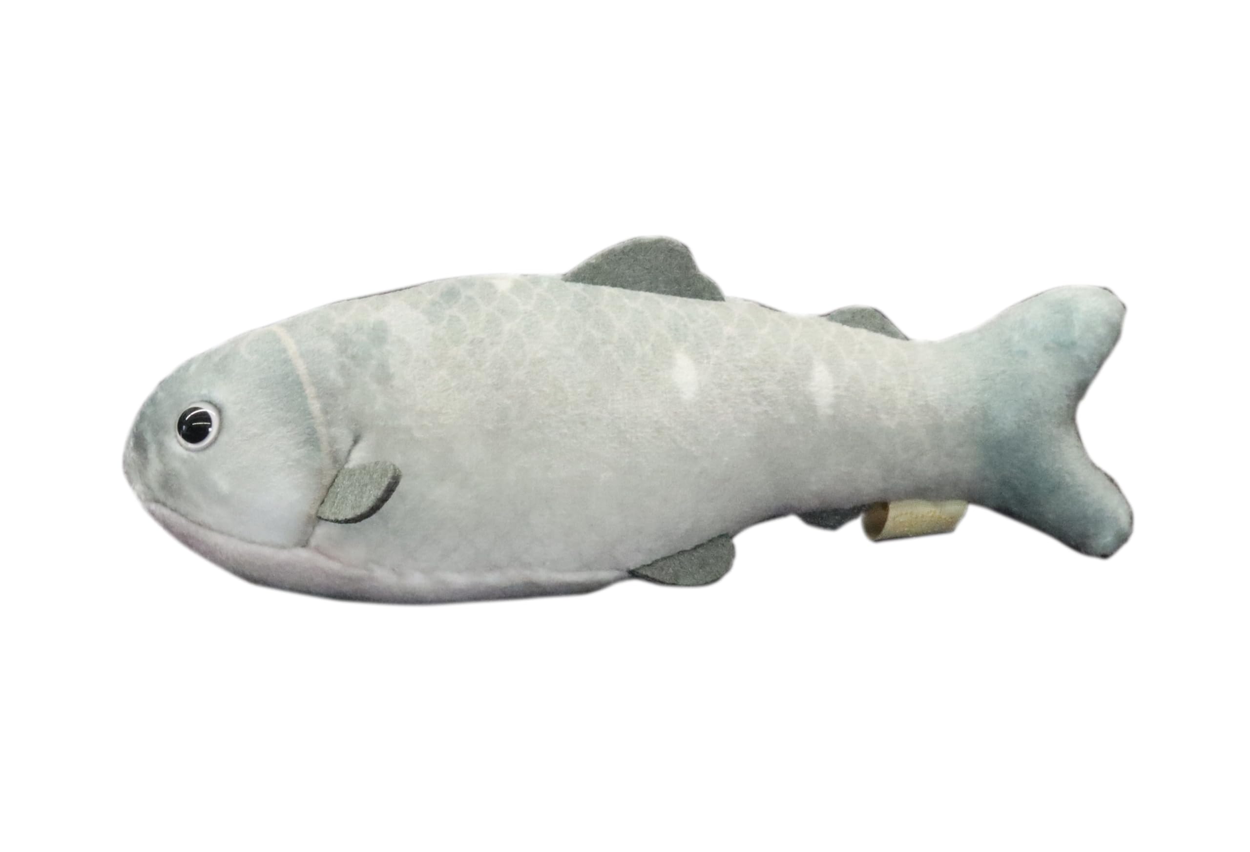 Amazon.co.jp: テイクオフ ピッシュ 小さくてカラフルな 魚の