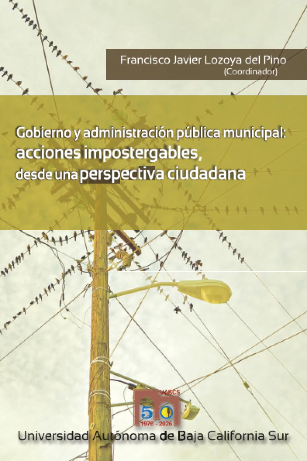 Gobierno y administración pública municipal: Acciones impostergables, desde una perspectiva ciudadana