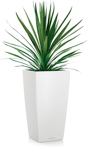 Miniatura 2 de Lechuza Cubico Color maceta de 22 pulgadas de alto, 22", Blanco Matte