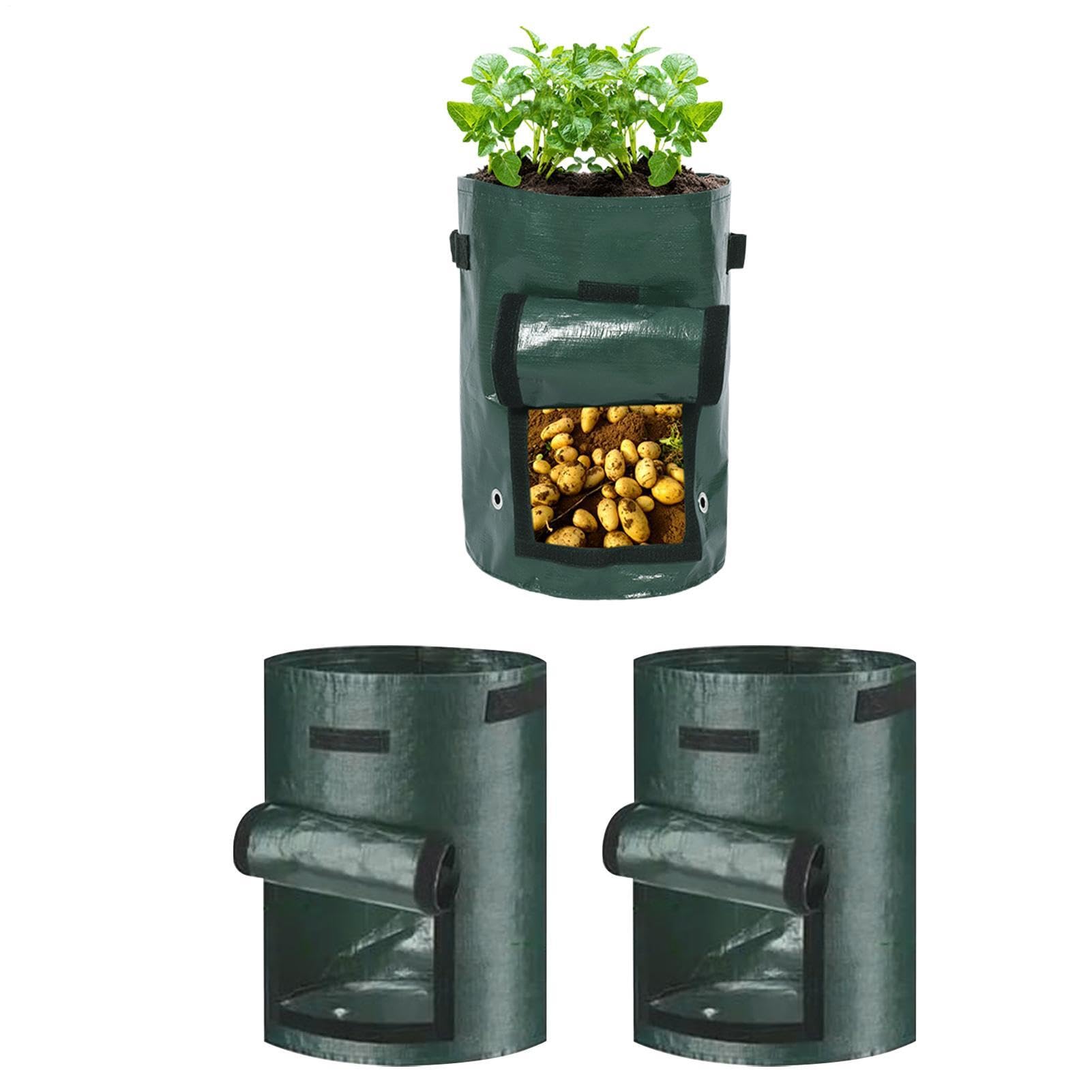 Evite raíces podridas con bolsas de cultivo transpirables y macetas de tela 10 galones