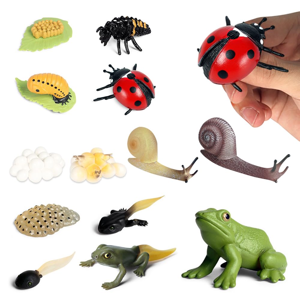 Jonuin Insect Life Cycle Toys, 13 Pcs Insect Toys Life Cycle of Frog, Ladybug & Snails Action Model