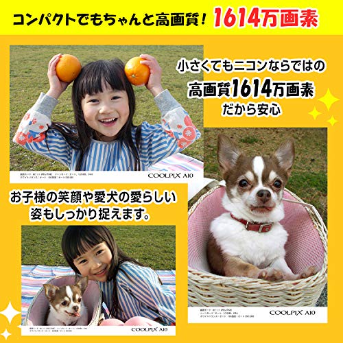 Nikon Coolpix A10レビュー １万円デジカメの写真を徹底検証 実写あり