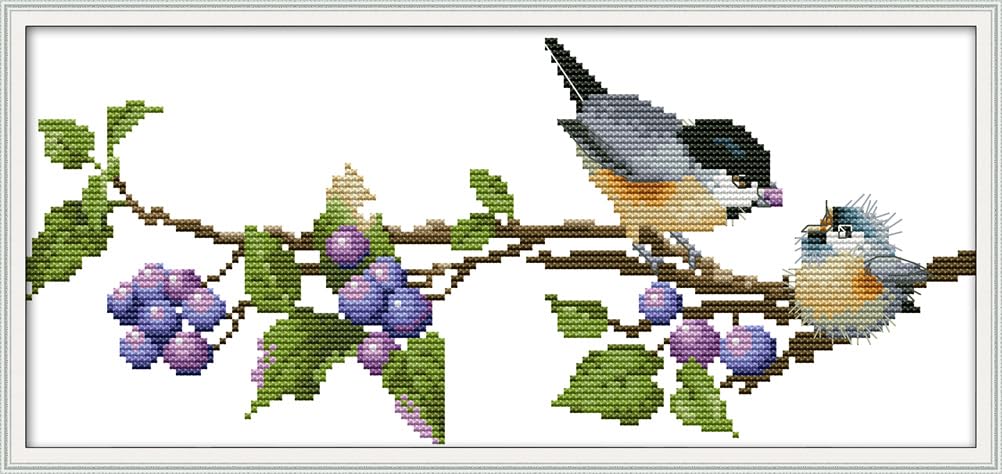 Meecaa Cross Stitch Kits 14 Count Stamped, Feed Bird Berry Embroidery Kit with Accessories Pre Printed（35×17CM (Feeding)