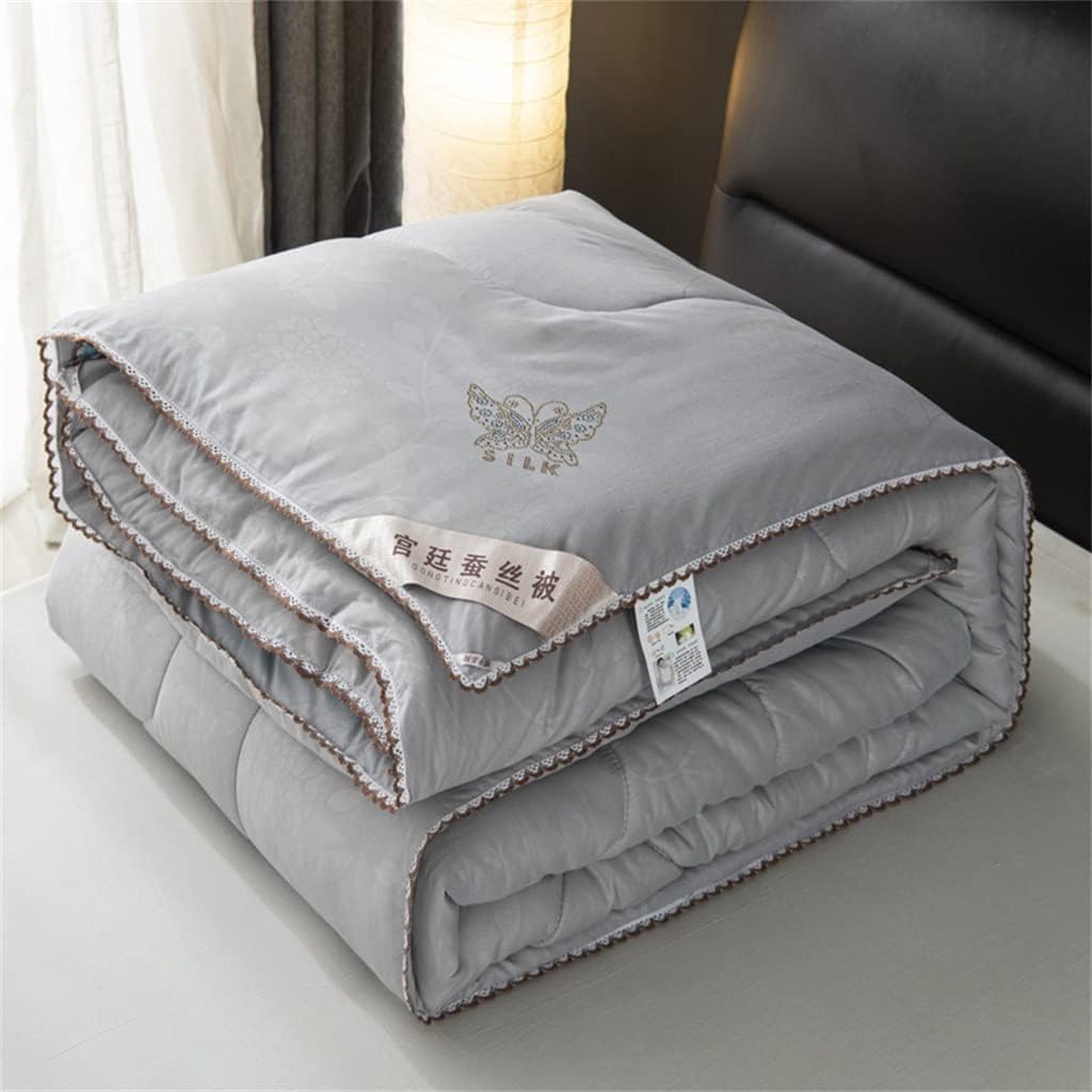 Quilt Queen Silk Comforter Twin Size Chinese Silk Bedding Duvet Insert 4 Season Comforter (Color : A, Size : 180x220CM) (D 180x220CM) (D 180x220CM)