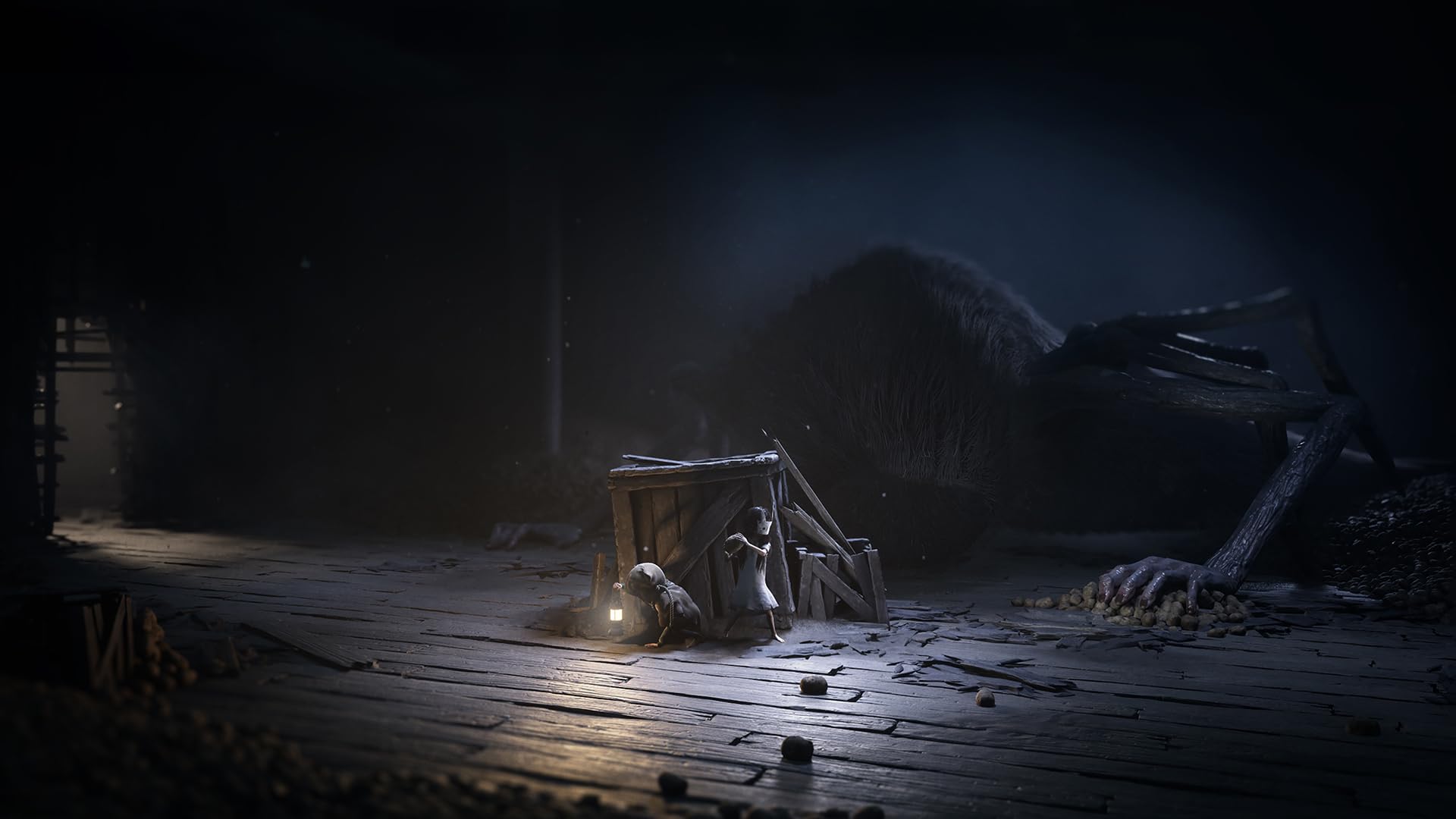 Amazon.co.jp: REANIMAL COLLECTOR'S BOX(リアニマル コレクターズ