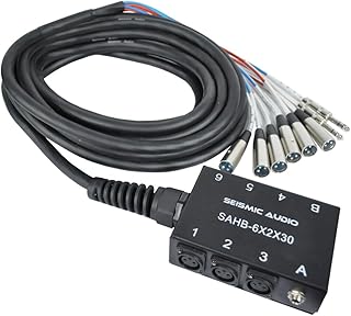 Seismic Audio SAHB-6x2x30 6 Channel 30-Feet Compact XLR Sub Snake with 2 Stereo Feeds