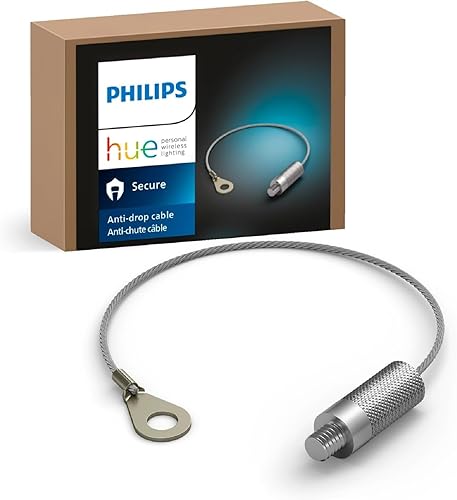 Philips Hue Cable anticaída para cámara segura, plateado, paquete de 1, hecho para uso en exteriores, se conecta a la unidad de fuente de