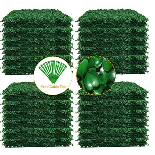 The Best Hedge Privacy Fence For 2022 BNB