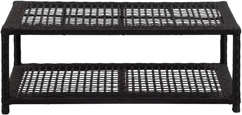 vidaXL Shoe Rack, 2-Tier Shoe Storage Organizer, Shoe Shelf, Shoe Holder for Entryway Hallway Doorway Closet Bedroom Dorm Room, Black Poly Rattan