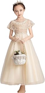 [FairyHouseVsmile] GATOER 発表会 ドレス 女の子 エレガント 子供 ドレス 入学式 女の子 ドレス 誕生日 パーティー 入園式 卒業式 ジュニア 刺繍 花嫁介添人 ドレスランキング フラワーガールドレス