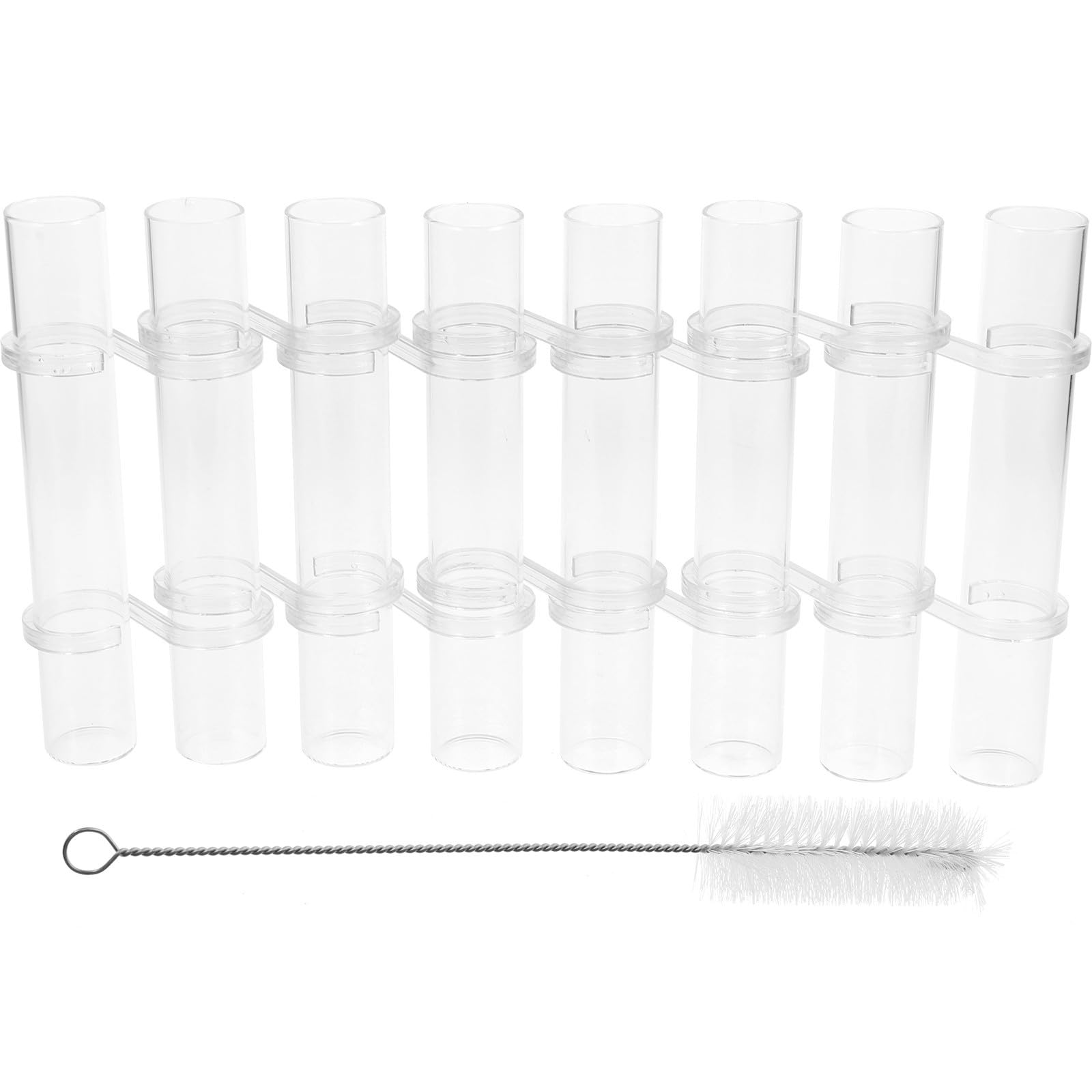 Vase tube transparent pour fleurs hydroponiques et maison