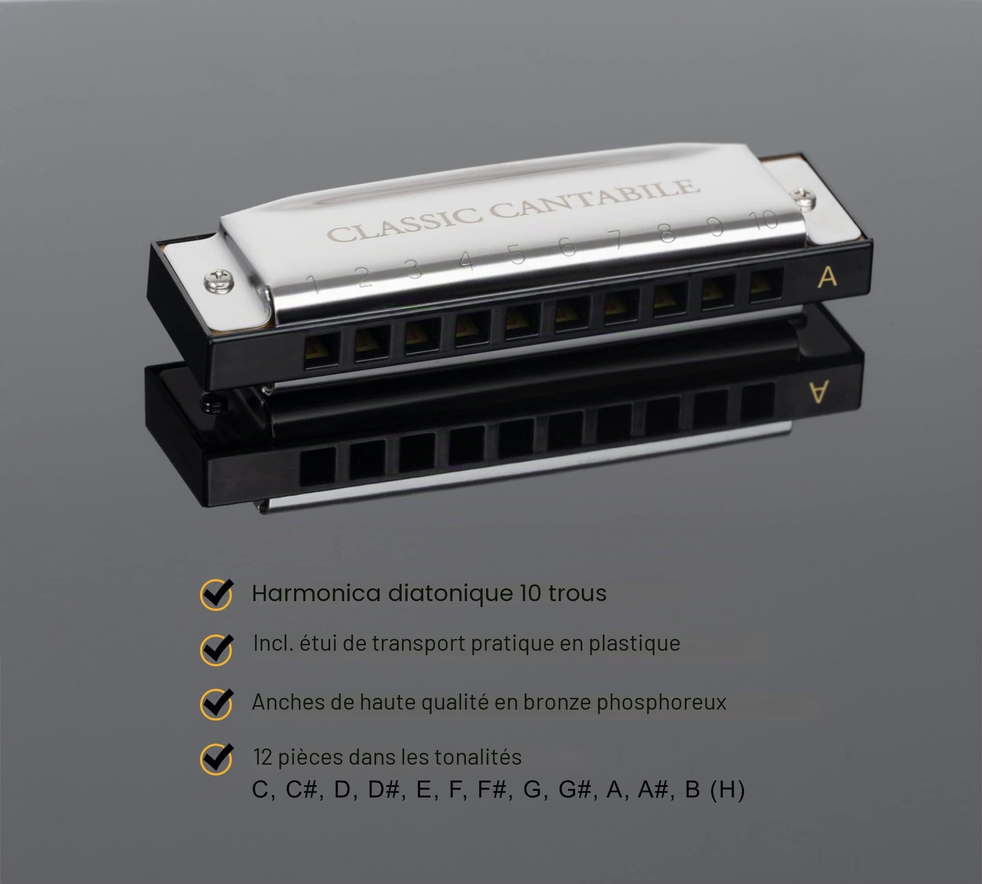 Classic Cantabile AHBS-12 Alabama Blues Harmonica Set de 12 harmonicas diatoniques - Accordages variés - 10 anches en laiton - Boîtier en acier inoxydable - Inclus étui & chiffon