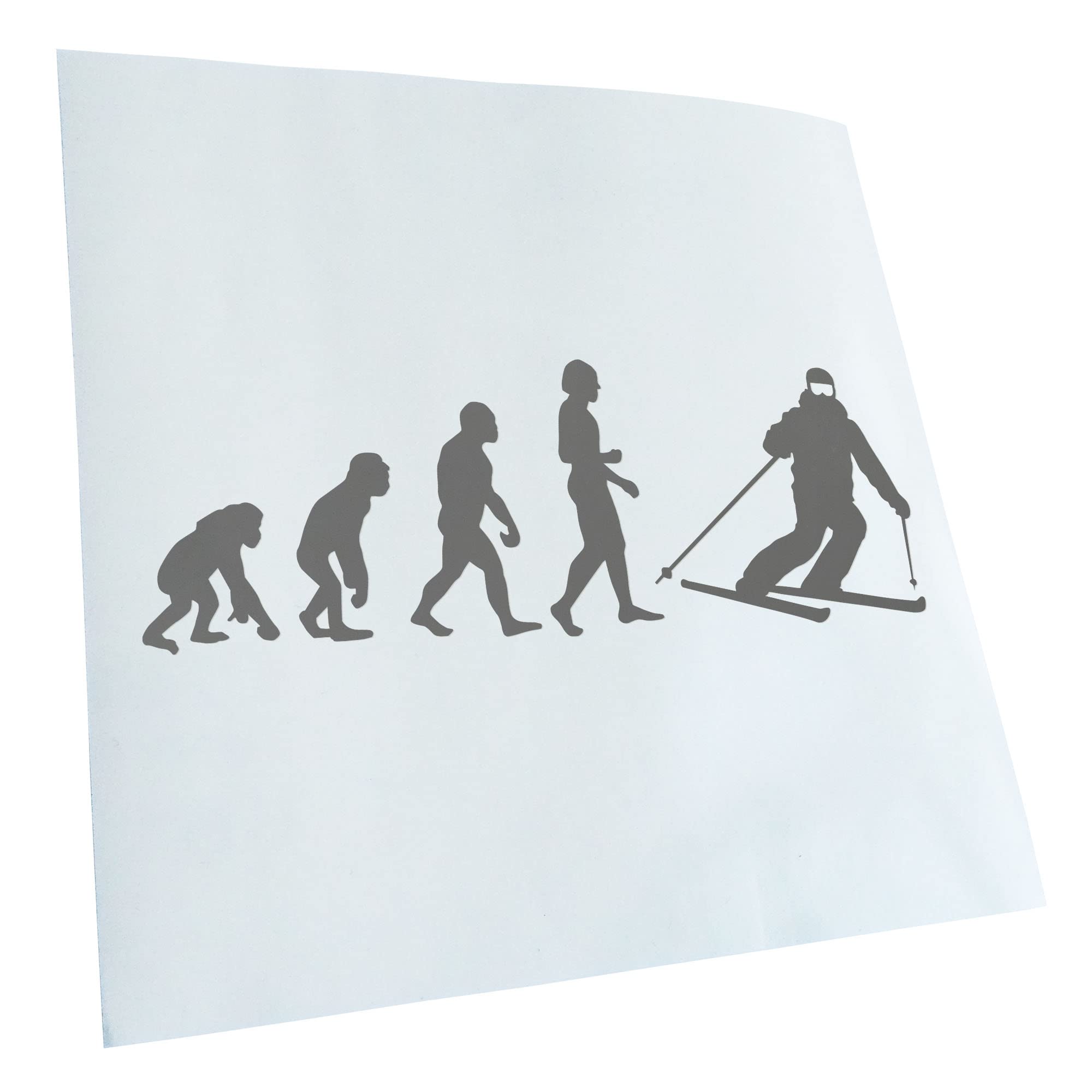 Kiwistar - Car Sticker - Grey - 50 x 18 cm Evolution Skiing - Rear Window Car Sticker Weatherproof for Car Truck Moped Truck - Sticker Exterior Self-Adhesive Tuning Accessories for Windows