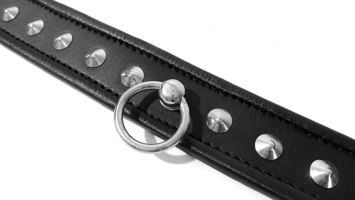 Premium Black Leather Collar