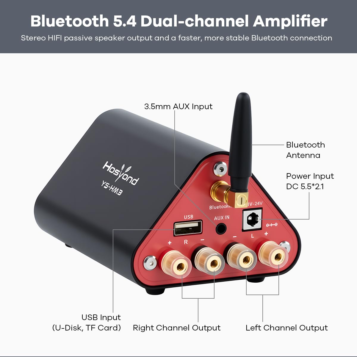 Hosyond YS-HM3 Amplifier Rear Panel with Inputs and Outputs