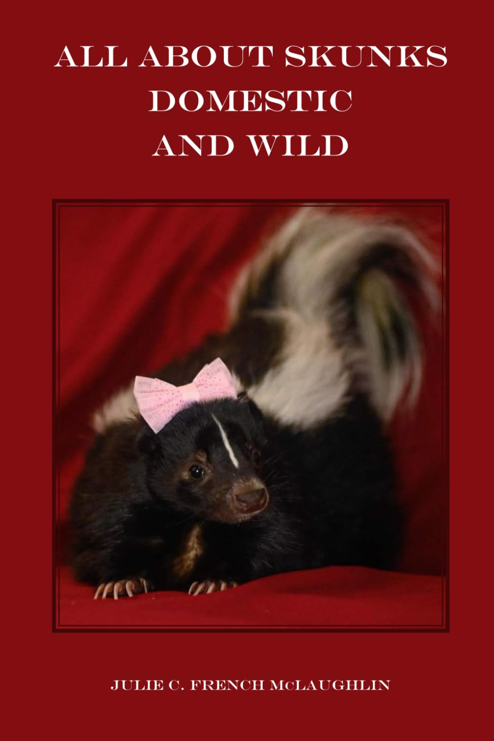 All About Skunks Domestic and Wild