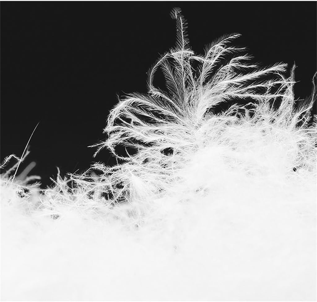 メンズ ラペル ライトダウン ジャケット ライト ウォーム ダック ダウン ジャケット ジャケット 秋冬 (DL)