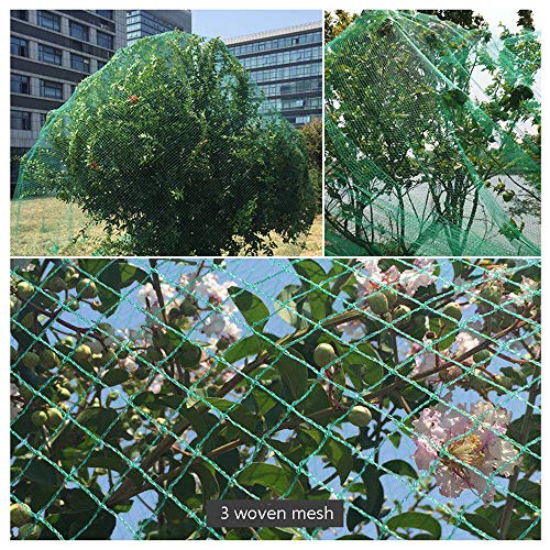 SHDT Anti Bird Protection Net Garden Plant Mesh Netting,Plant Climbing Netting,Fruit Trees Netting,Protect Plant Fruit Vegetable From Birds Pecking,8 * 10M