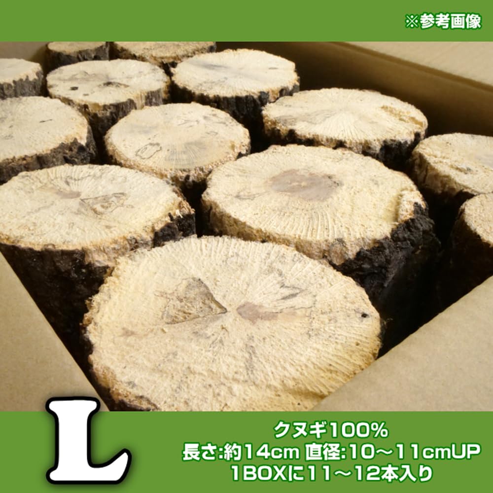 Amazon | 産卵木 Lサイズ クヌギ材 11～12本セット｜クワガタ繁殖用