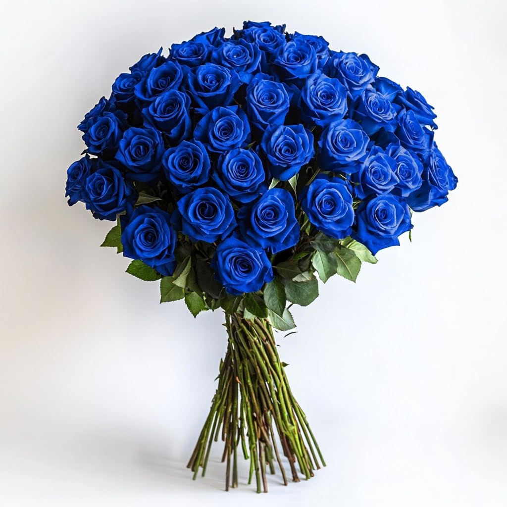 GlobalRose 50 Blue Roses Bouquet - Responsibly Sourced Roses Fresh Flowers - Hand-Picked Flowers Fresh Bouquet for Graduation, Anniversary, Birthday & Special Occasions (2 Bunches of 25 Stems)