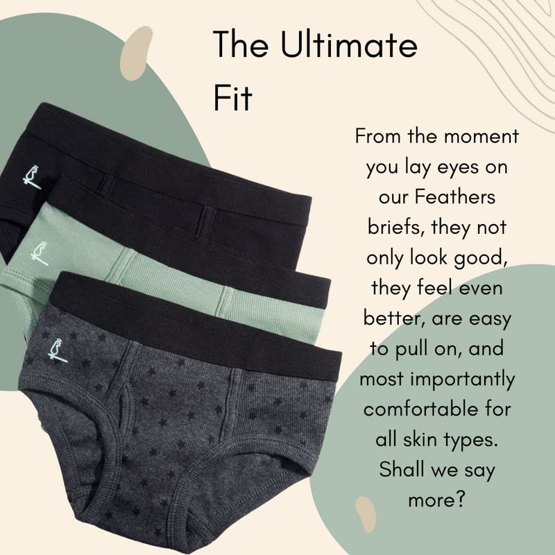Feathers Boys' Cotton Strech Tagless Briefs Underwear - (3/pack)2