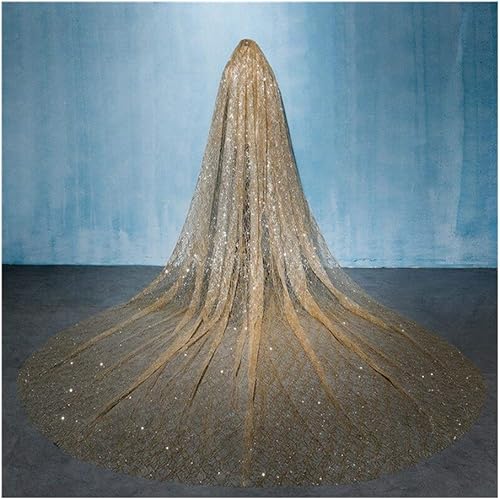 WYUYIWH Bridal Wedding Veils Gold Wedding Bridal Veil Bride Hairpiece Cathedral 