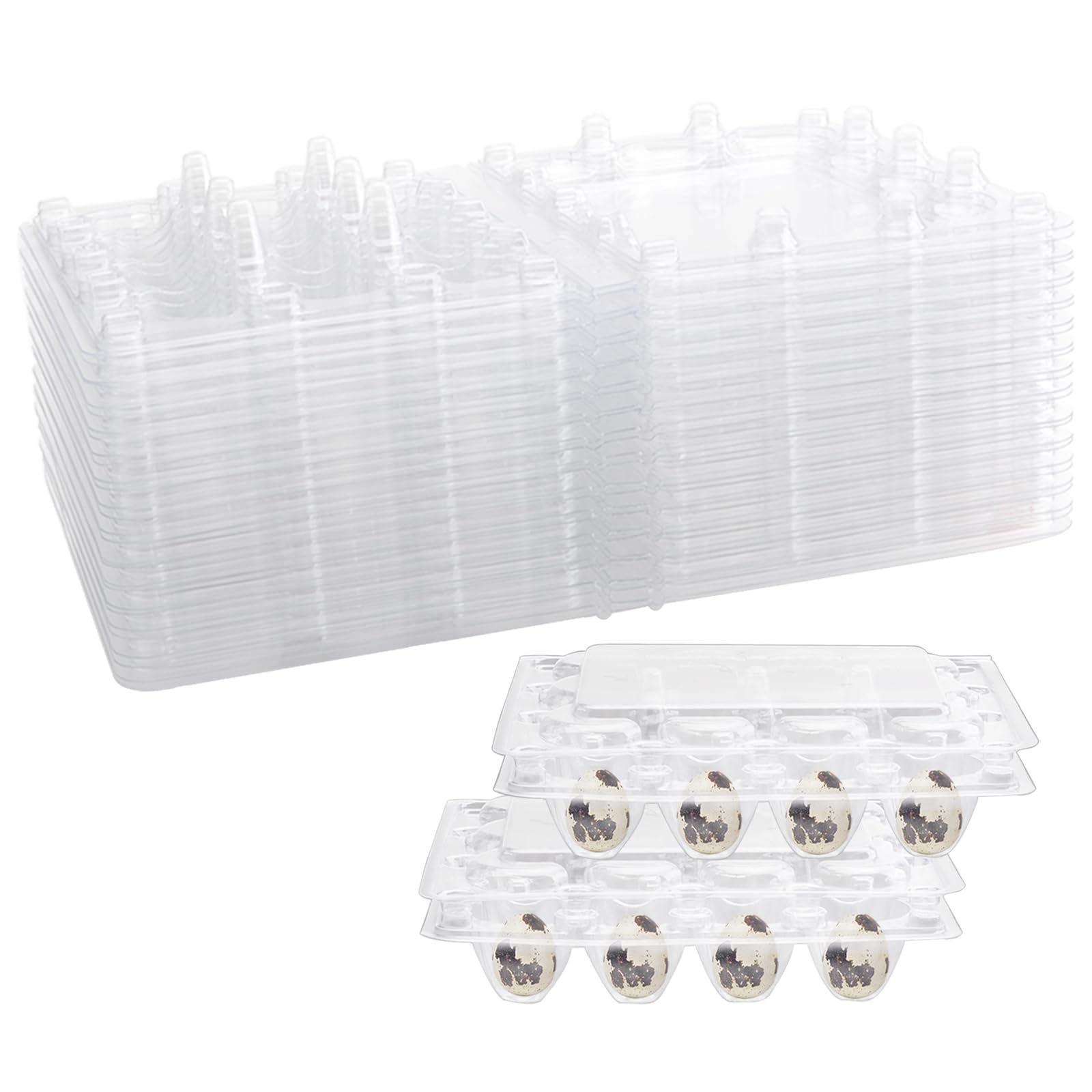 50er-Set Wachteleierschachteln – 12er Kunststoffboxen, Transparent, Mit Deckel, Platzsparend & Stabil