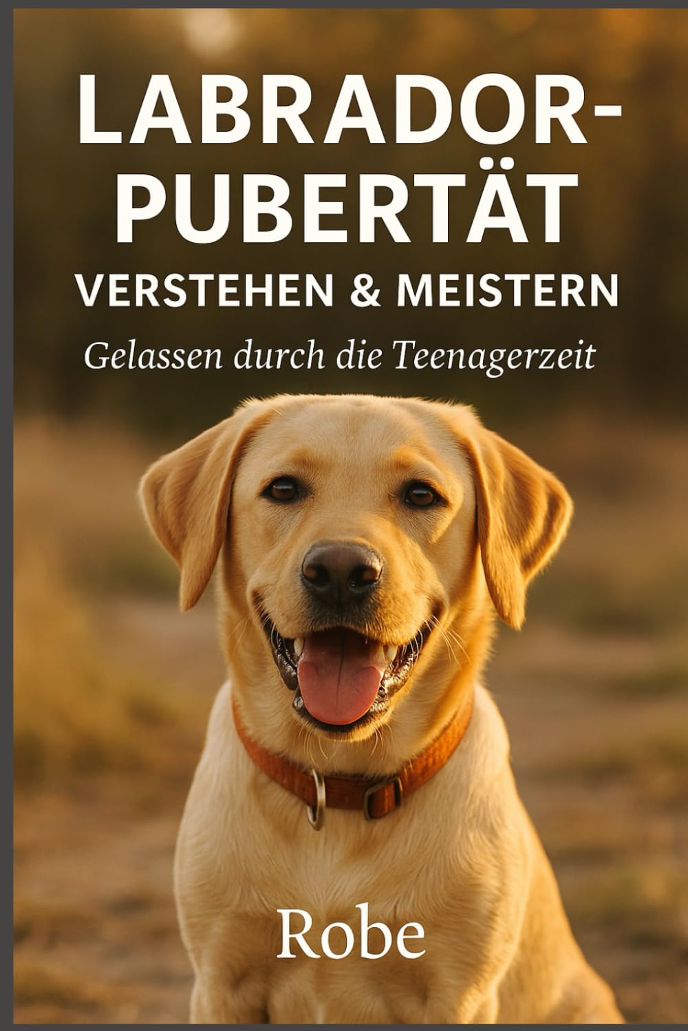 Labrador in der Pubertät sicher führen: Ruhiges Junghundetraining gegen Leinenziehen, Aufdrehen und Frust, mit klarer Struktur für Rückruf, Begegnungen und Familienalltag