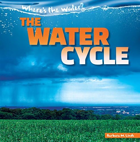 The Water Cycle (Where's the Water?)