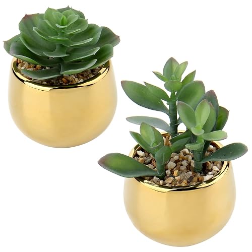 Briful Small Artificial Succulents in Pots Set of 2 Realistic