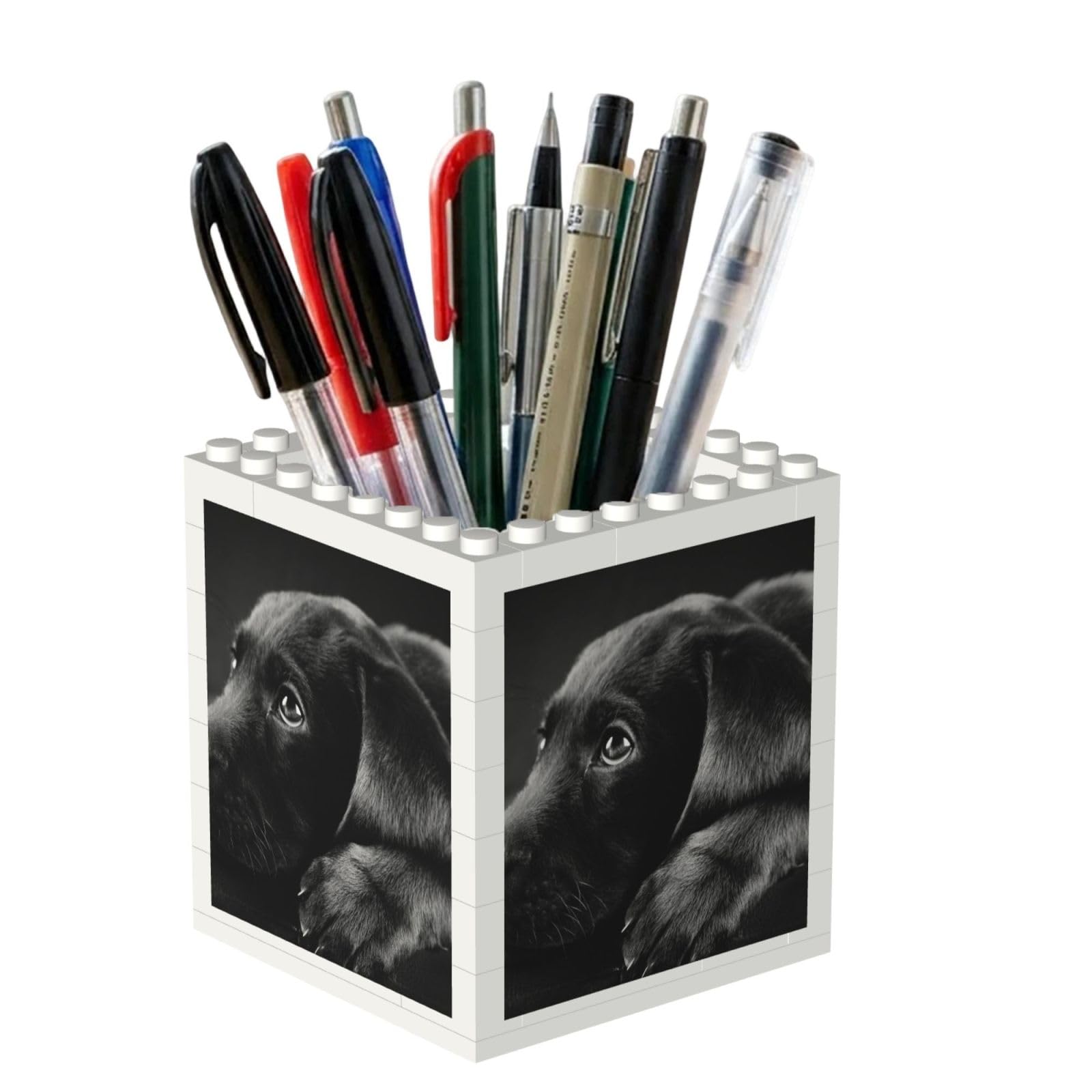 Poadnly Black Labrador Puppy Art, Pen Pot Pencil Holder for Office Home School, Compact Desk Organiser for Office Stationery
