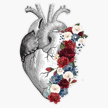 Human Heart - Floral Print Vinyl Waterproof Sticker Decal Car Laptop Wall Window Bumper Sticker 5"