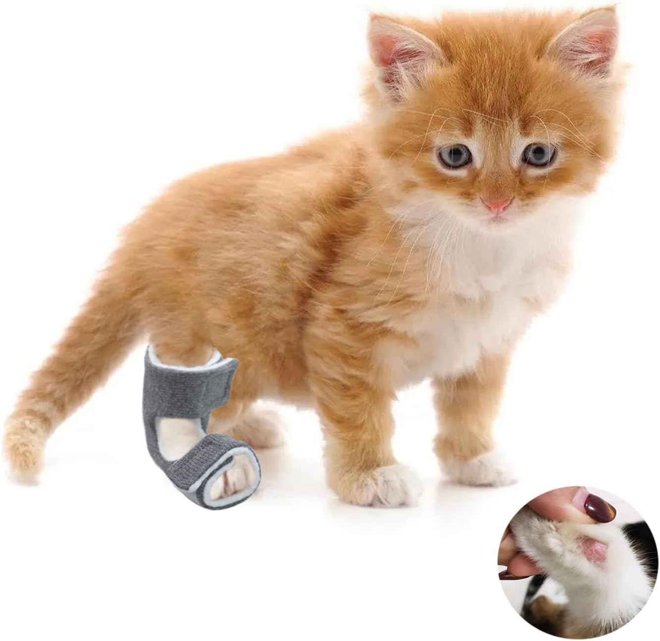 tinkare 1 Pair Cat Hock Socks for Sore Hocks Ankle Protective for Cats Recovery and Relief Wound Pain