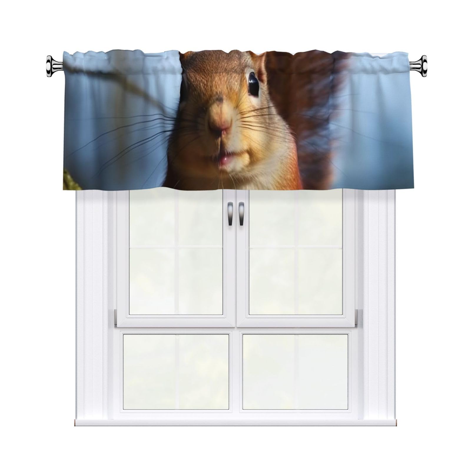 Squirrel Funny Animal Valance Curtain 54 X 18 Inch,Blackout Kitchen Valance Window Treatments Rod Pocket Drapes Modern Art Short Curtains for Kitchen Windows Bathroom Bedroom