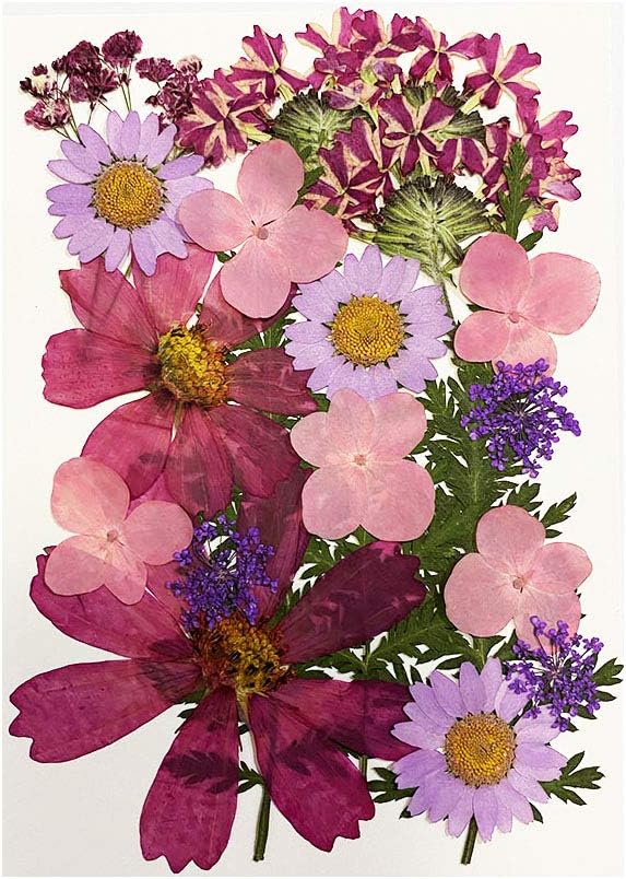 LoveDiyLife Real Dried Pressed Flowers Mixed Natural Assorted Colorful for DIY Resin Jewelry Nail Art Floral Decors - Style F