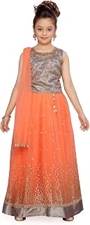 net Lehenga Choli