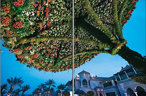 Der Meister der Blumenkunst: Limitierte Auflage
