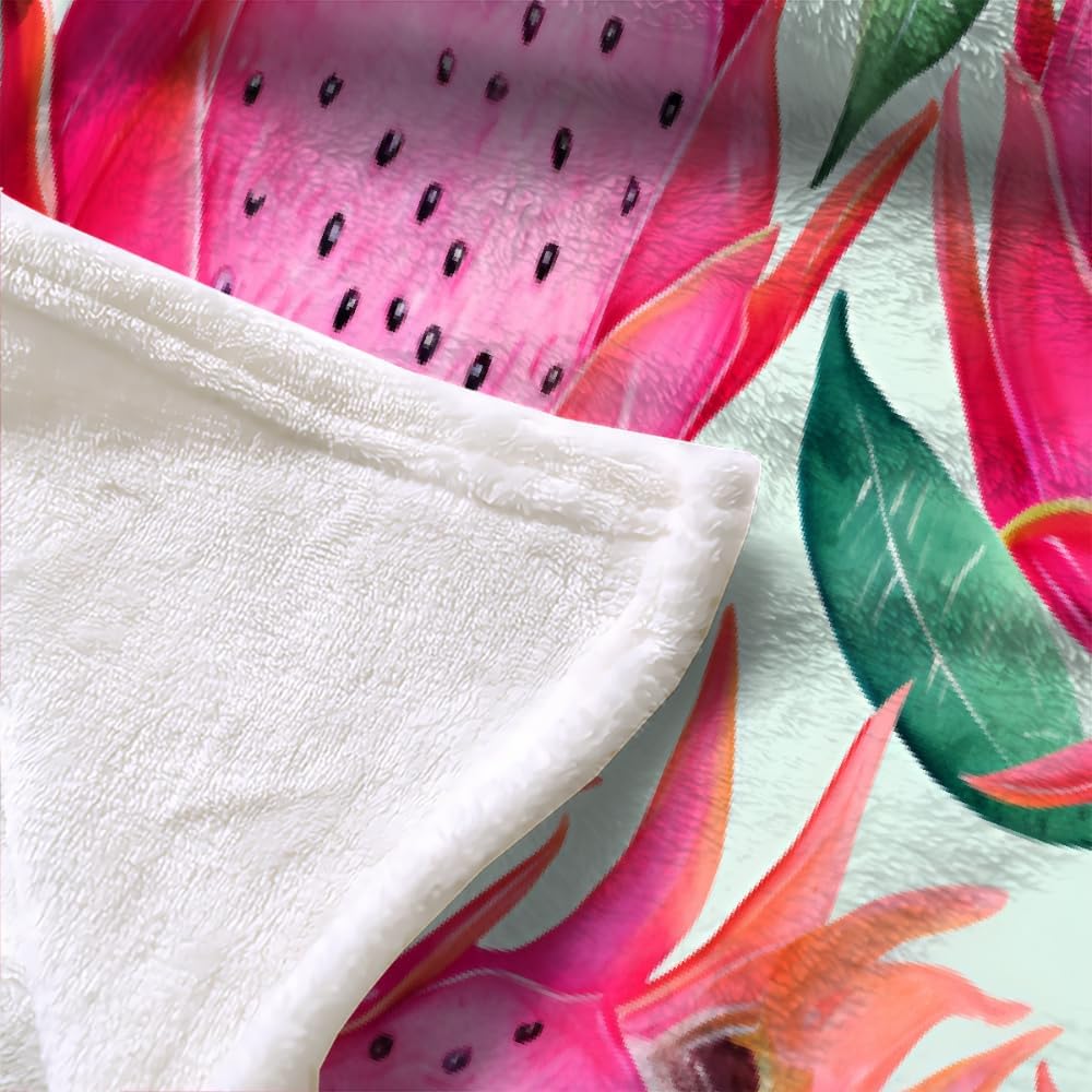 Dragon Fruit Throw Blanket, Fleece Blanket for Couch Bed Sofa, Tropical Palm Leaves Blankets and Throws, Jungle Printed Super Soft Cozy Plush Flannel Blanket, 50 x 70 in, Watercolor