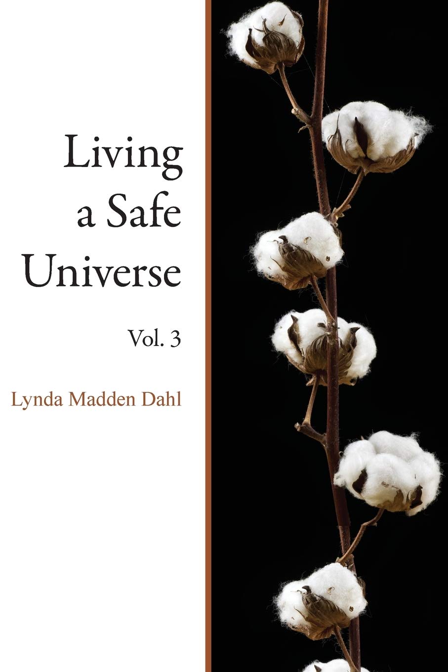 Living a Safe Universe, Vol. 3: A Book for Seth Readers: Volume 3