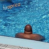  aprica